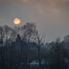 21.02.2015